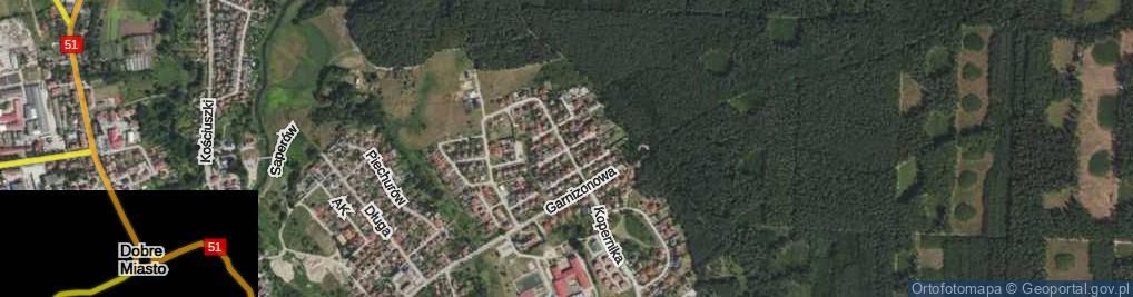 Zdjęcie satelitarne Mickiewicza Adama ul.